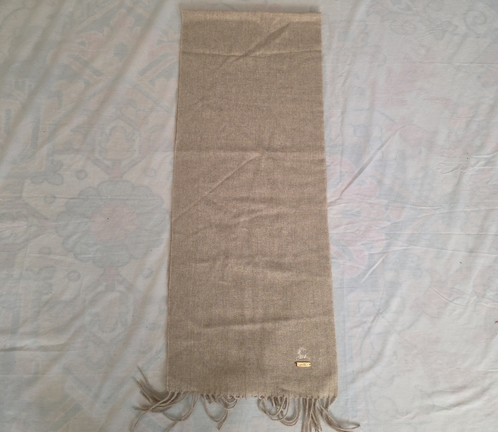 Elegant Beige Scarf with Fringe